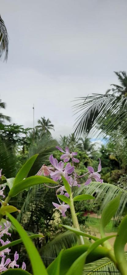 Chao Beach Villa Ahangama Luaran gambar